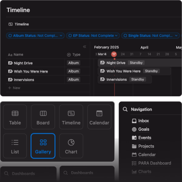 Dark-themed project timeline showing album statuses for several releases with filters applied.